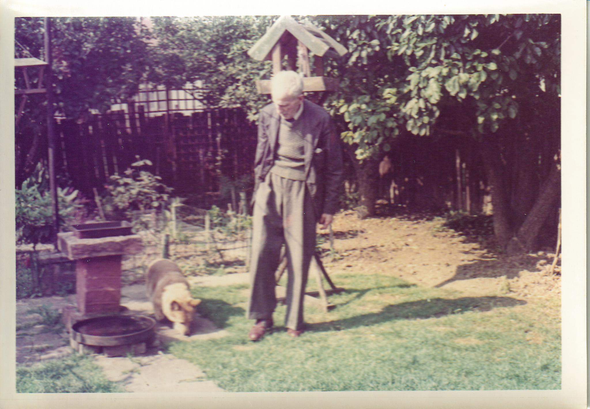 Gentleman in garden with corgi